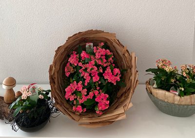 Dekopflanze-Blume-HotMilii