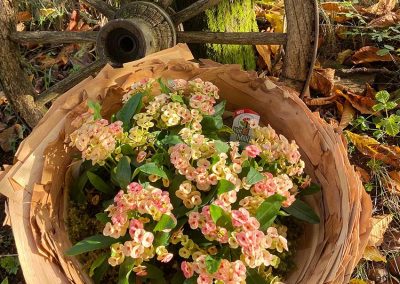 Garten Deko-Blume HotMilii