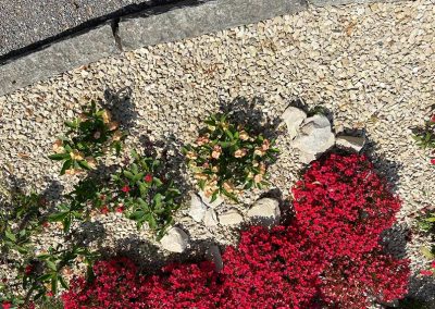 Hot Milii und Shine Bright auf Mainau